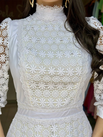 Embroidered Lace High Neck Elegant Dress